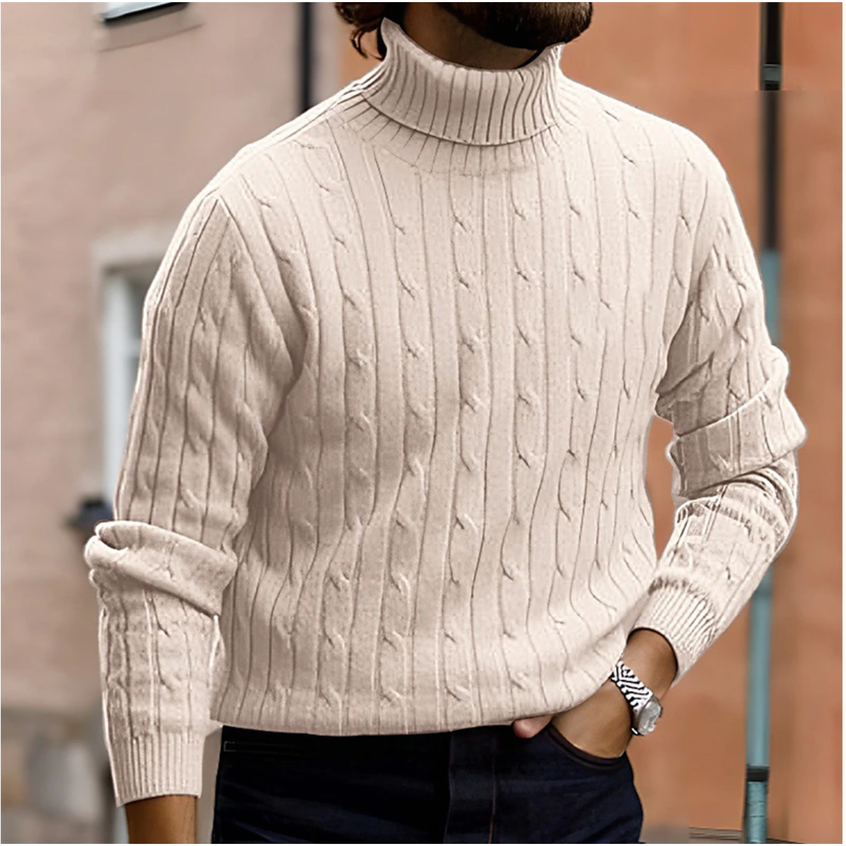 Men's Stylish Roll-Neck Sweater