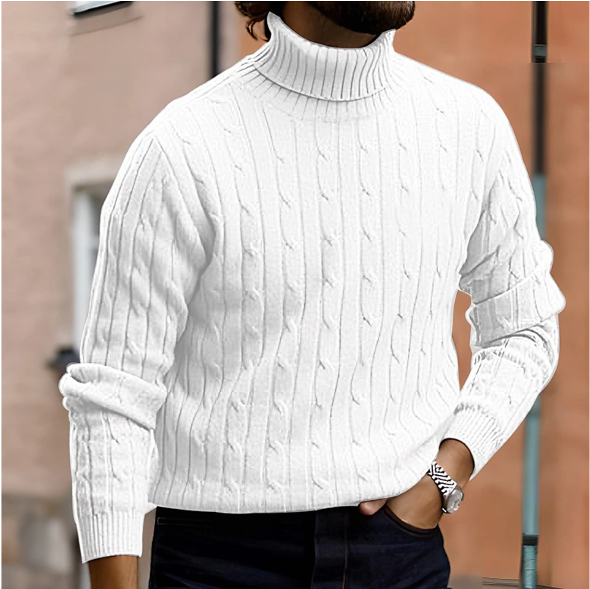 Men's Stylish Roll-Neck Sweater