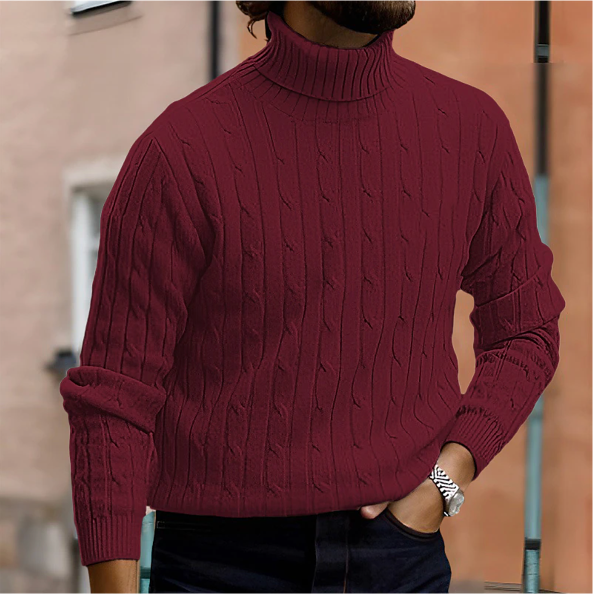 Men's Stylish Roll-Neck Sweater